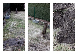 Gartenprojekt_Sabine5