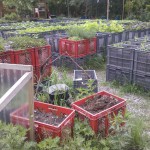 2011-05-17_15-18-31_610