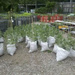 2011-05-17_15-19-36_891