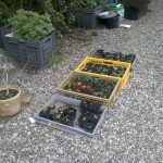 2011-05-17_15-36-11_558