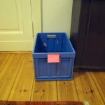 Janaury Cure Woche 1 3