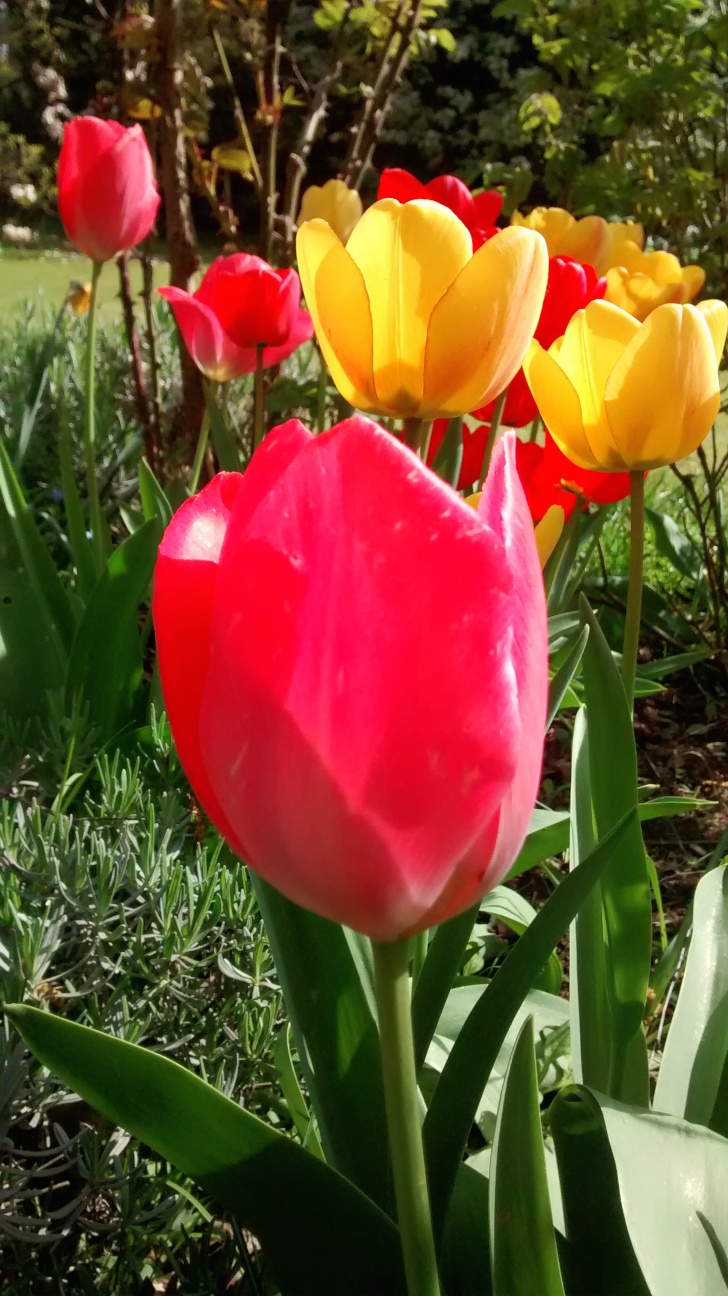 12v12April2014 1 (1)